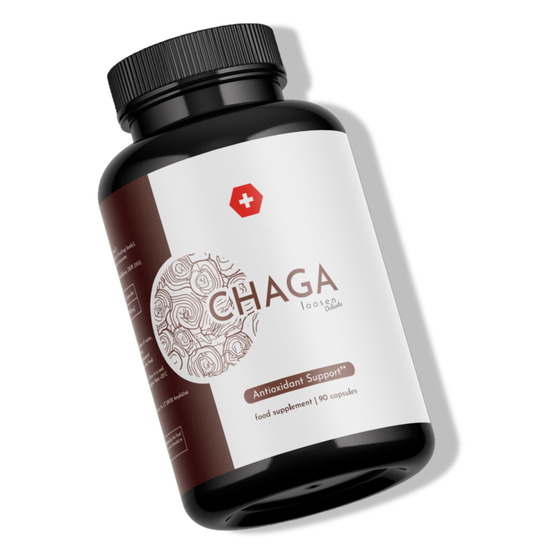 chaga grybai